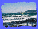 Hyeres 2005